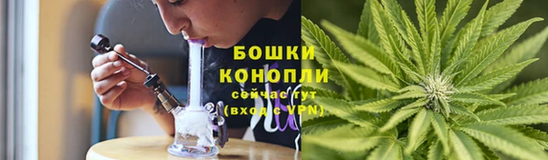 сатива Зеленодольск