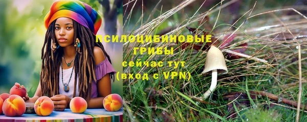 сатива Зеленодольск
