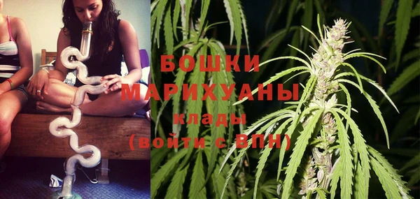 индика Заволжье