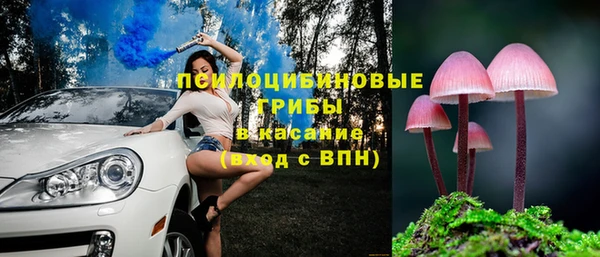 сатива Зеленодольск