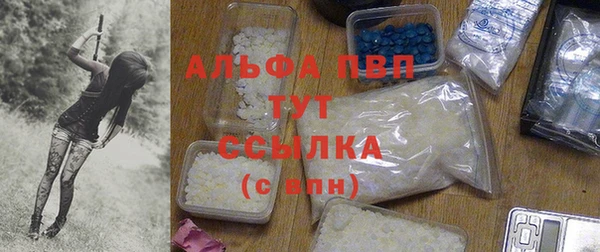 индика Заволжье