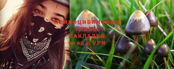 сатива Зеленодольск